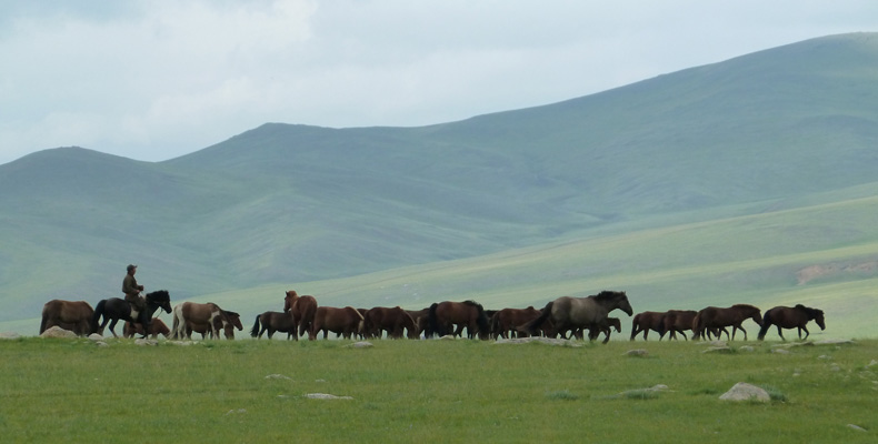 F01 Mongolie 4.jpg